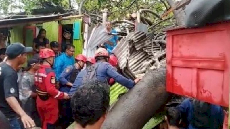Proses evakuasi pohon tumbang di Kelurahan Lembo, Kecamatan Tallo, Kota Makassar, Sulawesi Selatan, Rabu (4/1/2023).