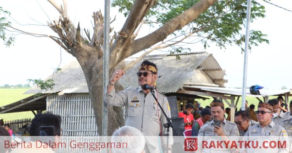 Melimpah, Mentan SYL Panen Raya Perdana Padi di Karawang