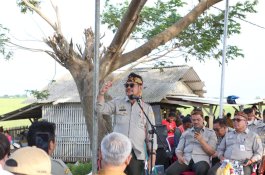 Melimpah, Mentan SYL Panen Raya Perdana Padi di Karawang