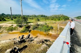 Presiden Jokowi Akan Kumpulkan Kepala Daerah dan Forkopimda