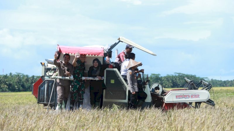 Awal Tahun 2023, Panen Padi di Pandeglang Melimpah