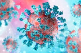 Varian Kraken Sudah Masuk Indonesia? Ini Respons Kemenkes