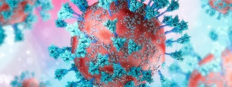 Varian Kraken Sudah Masuk Indonesia? Ini Respons Kemenkes