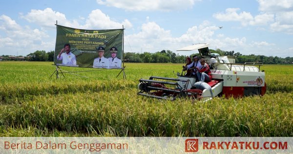 Panen Raya di Grobogan, Mentan SYL Pastikan Kondisi Beras Melimpah