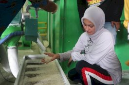 Bupati Indah: Surplus Beras Luwu Utara Capai 93.474 Ton
