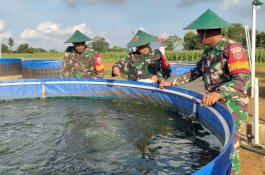 Program Ketahanan Pangan Jajaran Kodam XIV/Hasanuddin Libatkan Masyarakat, Ada Budidaya Ikan Nila