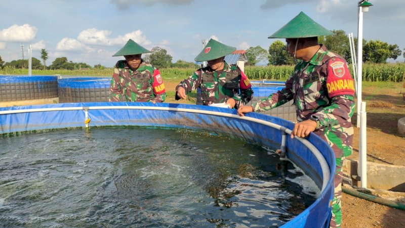 Program Ketahanan Pangan Jajaran Kodam XIV/Hasanuddin Libatkan Masyarakat, Ada Budidaya Ikan Nila