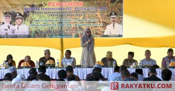 15 Miliyar Dana Bergulir di Desa Waetuo, Warga Undang Bupati Luwu Utara Pesta Panen