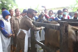 Mentan SYL Kick Off Pengendalian dan Penanggulangan PMK 2023 Serentak di 29 Provinsi