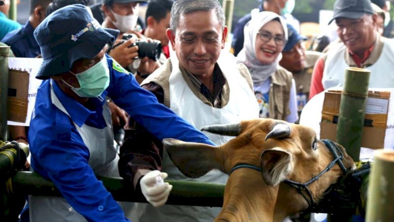 Bupati Wajo, Amran Mahmud, hadir pada Kick Off Pengendalian dan Penanganan PMK Nasional 2023 oleh Kementerian Pertanian (Kementan) RI yang dipusatkan di Kabupaten Barru, Sulawesi Selatan (Sulsel), Sabtu (28/1/2023).