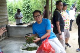 Produksi Lada di Belitung Makin Pesat, Petani Sasar Peluang Ekapor