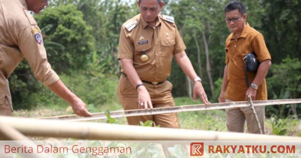 Bupati Wajo Seharian Keliling Tiga Kecamatan Lihat Lokasi Pengembangan Sutra