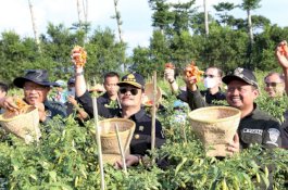 NTP Januari Capai 109,84, Akademisi IPB dan DPR Apresiasi Kinerja Sektor Pertanian