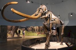 Perusahaan yang Ingin Bangkitkan Spesies-Spesies Punah Kini Tarik Banyak Investor