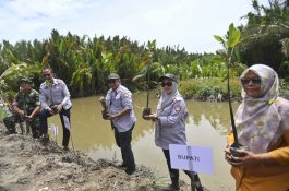 Penanaman Mangrove Serentak di Luwu Utara: 5000 Pohon Ditanam di 300 Hektar Pesisir  