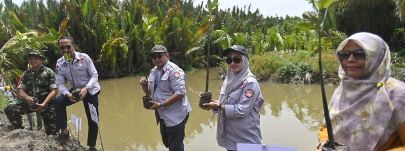 Penanaman Mangrove Serentak di Luwu Utara: 5000 Pohon Ditanam di 300 Hektar Pesisir  