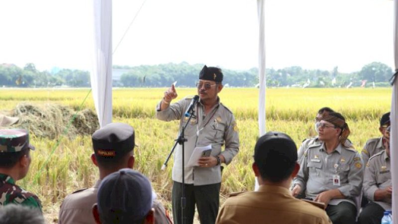 Menteri Pertanian (Mentan), Syahrul Yasin Limpo (SYL), panen raya padi di Cileungsi, Kabupaten Bogor, Jawa Barat, Senin (6/2/2023).