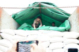 Harga Beras Masih Tinggi, Impor Dinilai Tak Sesuai Harapan