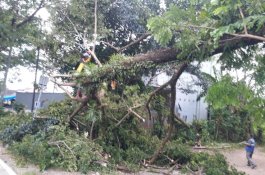 Bupati Barru Manfaatkan WhatsApp Group Pantau Keluhan Warga