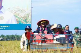Panen Raya di Bengkulu, Mentan SYL Apresiasi Keberhasilan Petani Tingkatkan Produksi