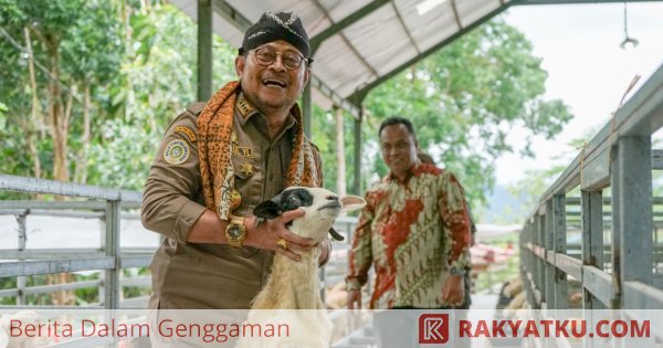 Mentan SYL Dorong Produksi Kambing dan Domba Kulon Progo Banjiri Kebutuhan Nasional