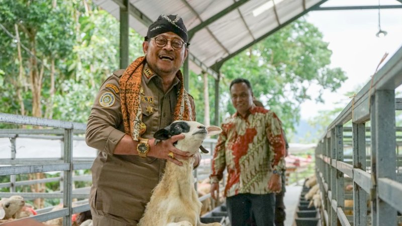 Mentan SYL Dorong Produksi Kambing dan Domba Kulon Progo Banjiri Kebutuhan Nasional