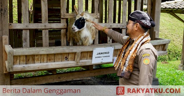 Kementan Dorong Setiap Daerah Kembangkan Model Closed-Loop Peternakan Kambing Domba