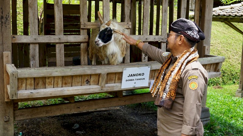 Kementan Dorong Setiap Daerah Kembangkan Model Closed-Loop Peternakan Kambing Domba 