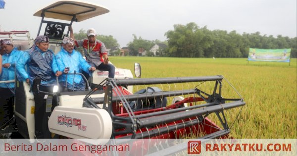 Panen Raya Padi di Lamongan Capai 7,3 Ton Perhektare