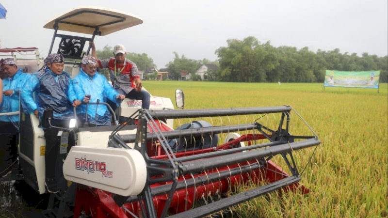 Panen Raya Padi di Lamongan Capai 7,3 Ton Perhektare