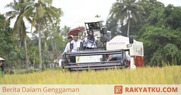 Hasil Panen Meningkat, Bupati Luwu Utara Apresiasi Pengunaan Ge-lite Korea