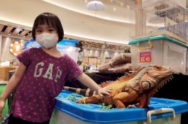 Ada Kelinci Seharga Rp12 Juta di Pameran Bunny and Friends di TSM Makassar