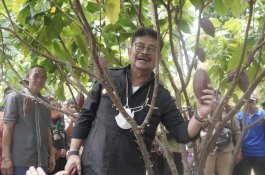 Dari Sultra, Mentan SYL Tekankan Pengembangan dan Hilirisasi Kakao