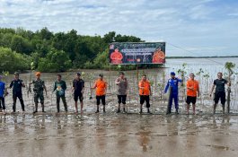 Basarnas Sulsel Tanam 501 Bibit Mangrove di Pesisir Untia