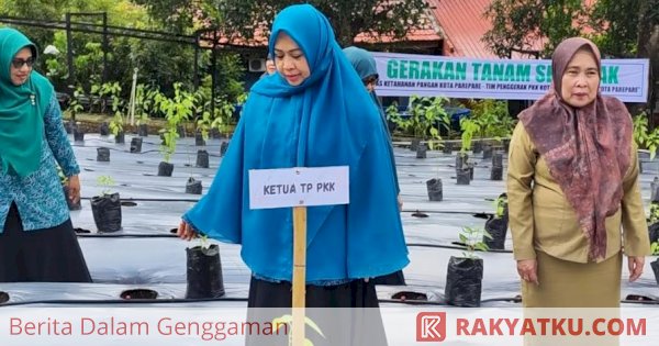 Antisipasi Harga "Pedas", Pemkot Parepare Bagikan Bibit Cabai untuk Petani-IRT