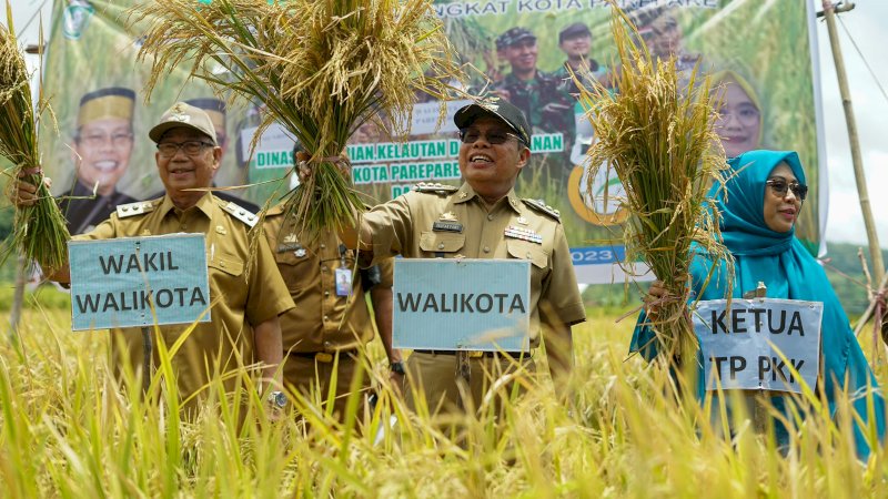 Wali Kota Parepare Hadiri Panen Perdana KTNA