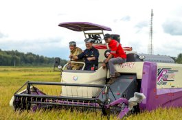 Mentan SYL Kawal Panen Raya Padi di Jateng, Produktivitas hingga 7 Ton Per Hektare