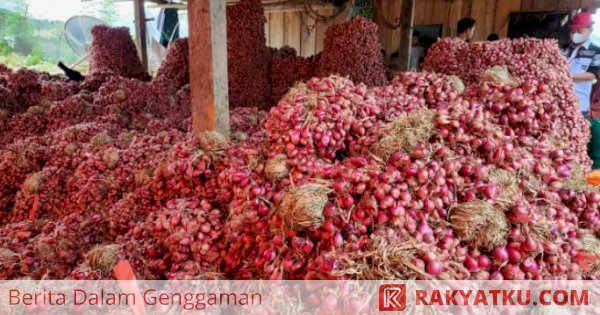 Ramadan dan Lebaran, Kementan Pastikan Ketersediaan Bawang Merah-Cabai Segar Aman