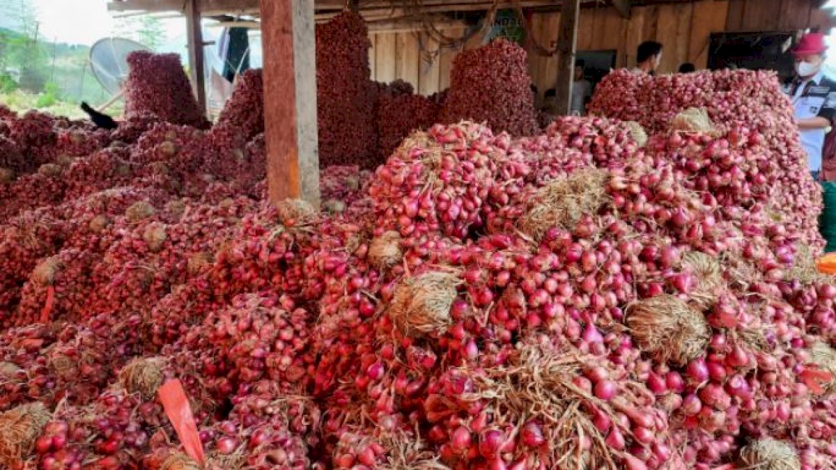 Ramadan dan Lebaran, Kementan Pastikan Ketersediaan Bawang Merah-Cabai Segar Aman