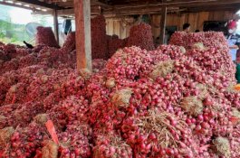 Ramadan dan Lebaran, Kementan Pastikan Ketersediaan Bawang Merah-Cabai Segar Aman