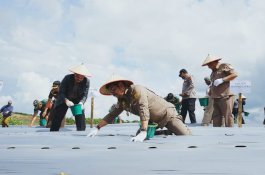 Mentan SYL Kick Off  Kawasan Pertanian Terpadu Samosir