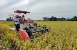 Angka NTP 110,53, Tertinggi Dalam 3 Tahun Terakhir