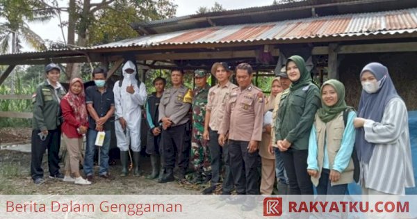 Bupati Lutra Keluarkan SE Cegah Penularan Penyakit Jembrana pada Ternak Sapi