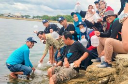 DPRD Bersama Dinas Kelautan dan Perikanan Wajo Lakukan Penebaran Ikan Baronang