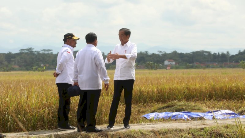 Presiden Jokowi Panen Raya Bersama Menteri Pertanian di Kebumen