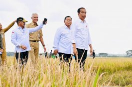 Mentan SYL Dampingi Presiden Panen Padi Nusantara Serentak di 30 Provinsi