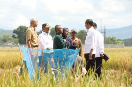 Bupati Kebumen: Terima Kasih Pak Mentan, Bantuan Bermanfaat Naikkan Produksi Padi