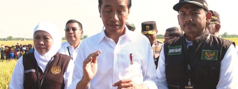 Pengumuman Harga Gabah di Tengah Panen Raya, Presiden Jokowi Minta Harga Jangan Jatuh