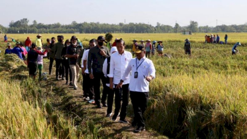 Panen raya padi di Kabupaten Ngawi, Jawa Timur, Sabtu (11/3/2023), rangkaian Panen Raya Padi Nusantara 1 Juta Hektare secara serentak.