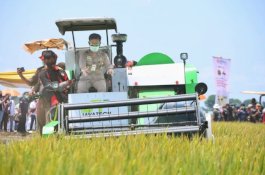 Guru Besar IPB Apresiasi Panen Raya 2023, Produktivitas Padi Meningkat